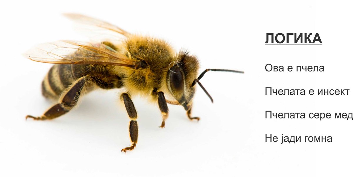 JumalaTuoni's tweet image. ВРИШТАААААААААААМ