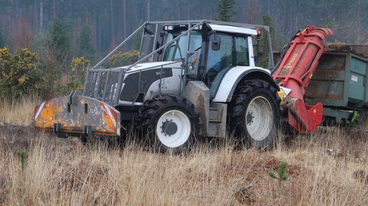 Trialling our new Seppi Drago <a href="/seppimulcher/">SEPPI M. S.p.A.</a> forestry mulcher / collector!