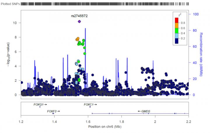 International study finds genes responsible for primary open angle glaucoma buff.ly/1J2LRvX #ophthalmology