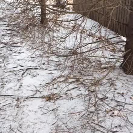 RhaGoddess's tweet photo. |REPLAY| Life On Purpose #2016setup @truepaidgood ✨💗⚡️ #katch #tevedobem... #Periscope https://t.co/avRVKg6dvX https://t.co/1NzPiRonDh