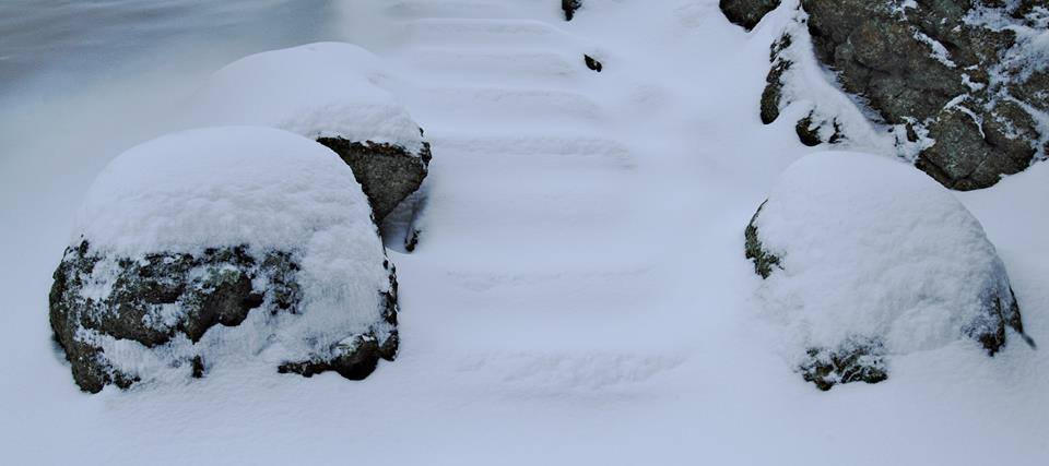 CMPublishingNY's tweet photo. #PhotoOfTheDay - Snow blankets #TuxedoPark. #GiftofNature #NYNature https://t.co/wVaVA7tCsY