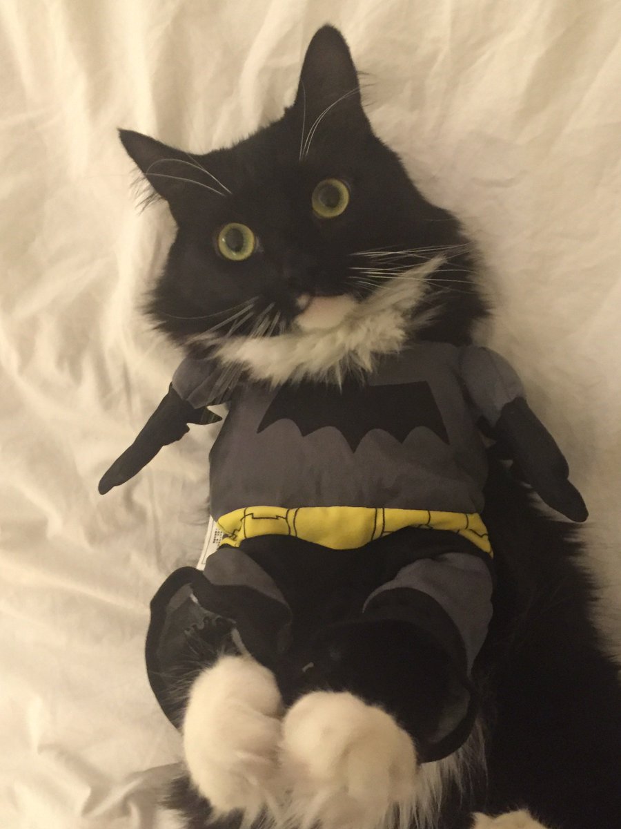 GameStop tweet media