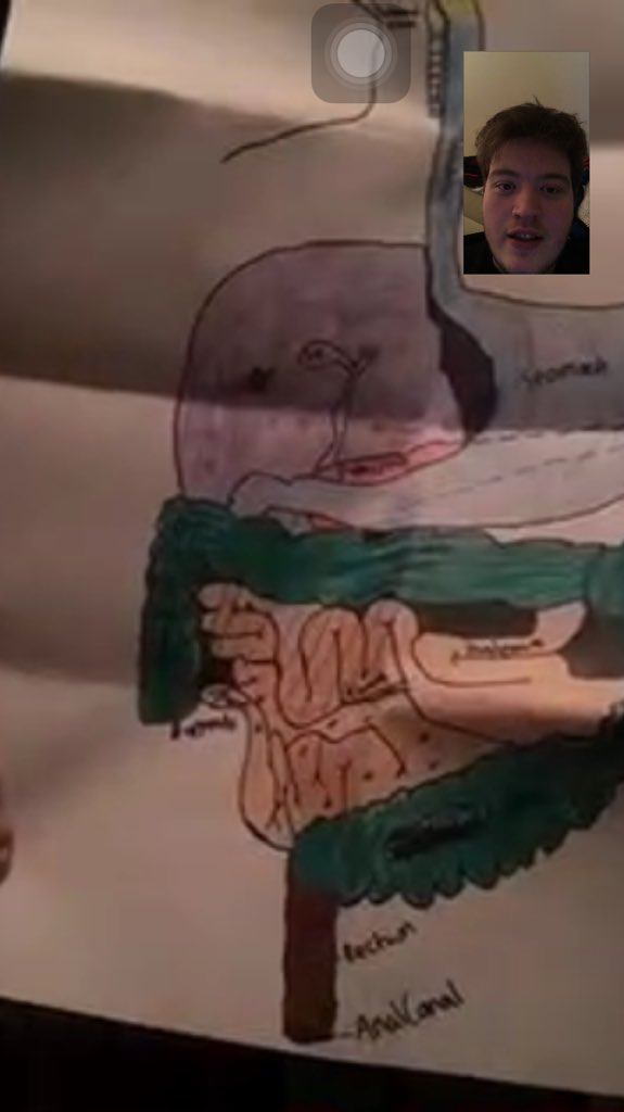 viralrak's tweet image. While face timing my mom she showed me something that proved I might not completely suck at drawing also #analcanal