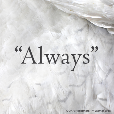 Rest in peace, Alan Rickman.