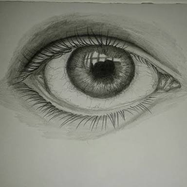 palippui's tweet image. 