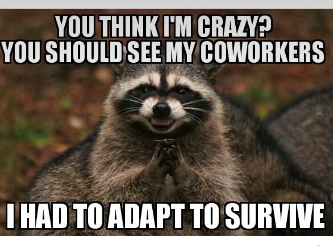 CommaAdvertisin's tweet photo. We practice the art of crazyness and abnormality, bcuz regular is boring.;) #agencylife #adagency #crazy #creativity https://t.co/f1BEa2W2cw