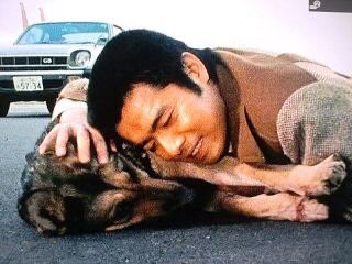 太陽と犬 楽天市場】太陽の犬（CD・DVD）の通販