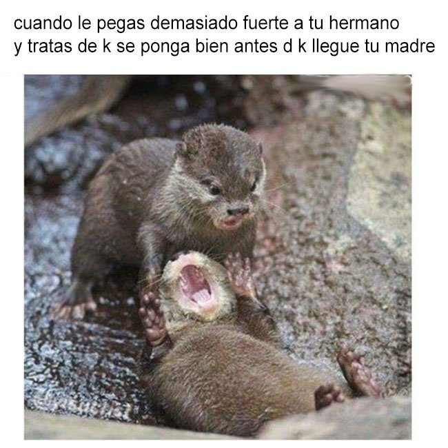 yisucrist's tweet photo. ohtia k ha sido sin kerer, lo siento, levántate ya x favor https://t.co/PnXFb6BdHJ