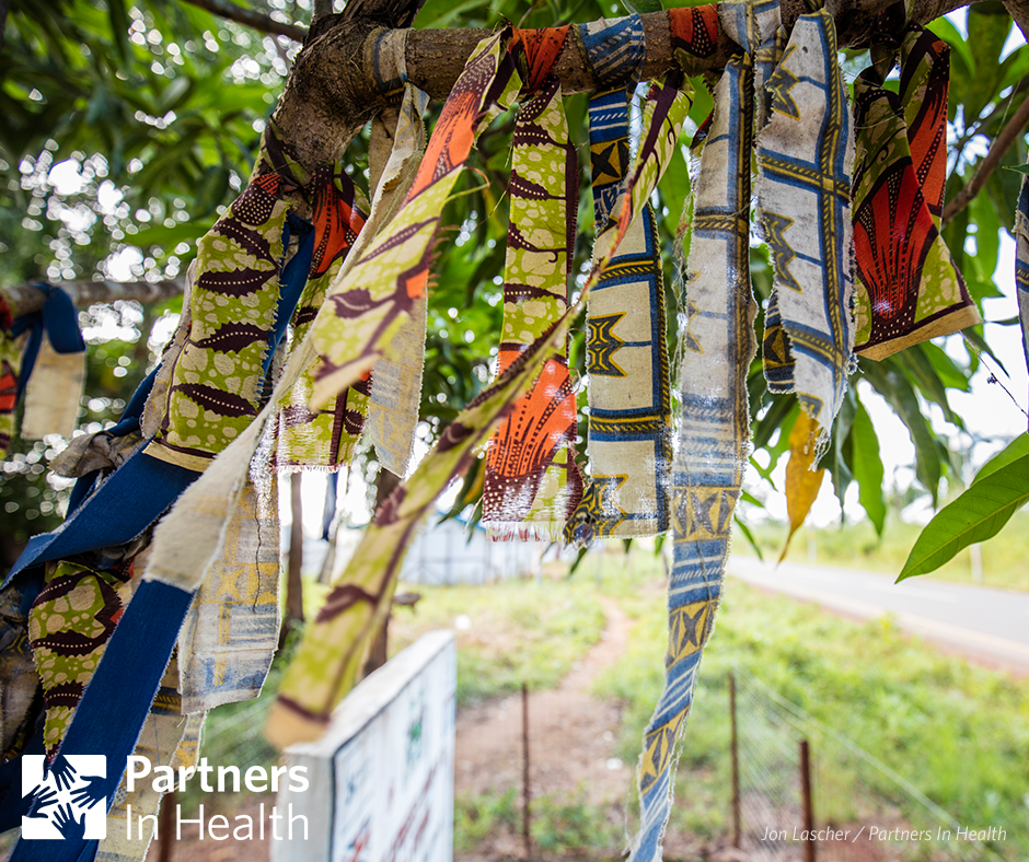 PIH's tweet photo. Our thoughts are with #Ebola survivors, honored by this survivor tree in Sierra Leone, and with those who were lost. https://t.co/T1fTehwBEG