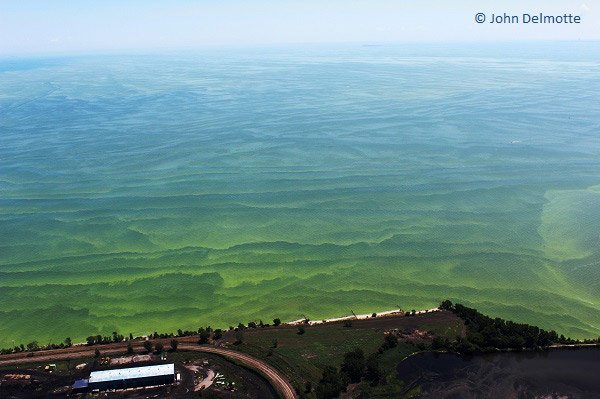 Nature_Indiana's tweet photo. Celebrating a 1 million acre milestone for #4RCertification! Helping to reduce algae blooms! https://t.co/q8S5LldzAl https://t.co/hiNHH6e4pr