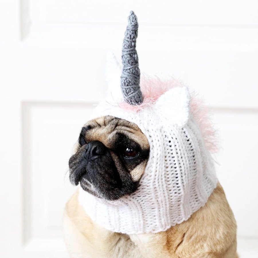 Happy #NationalDressUpYourPetDay! Pets can strut their style with these Etsy finds etsy.me/1OF7ene