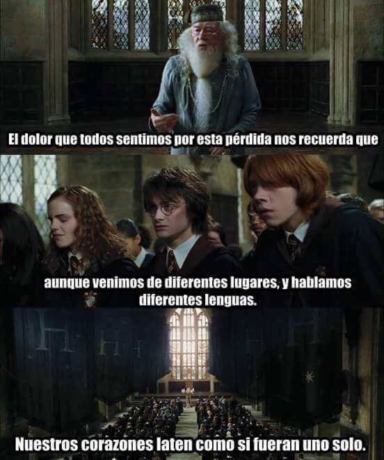 MagiadeLectores's tweet image. Más que nunca Potterheads

#RIPAlanRickman