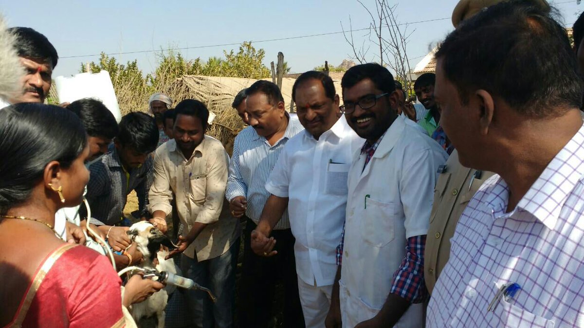 Parmalla Rajashekar (@c1bdac1d8ab746f) on Twitter photo 