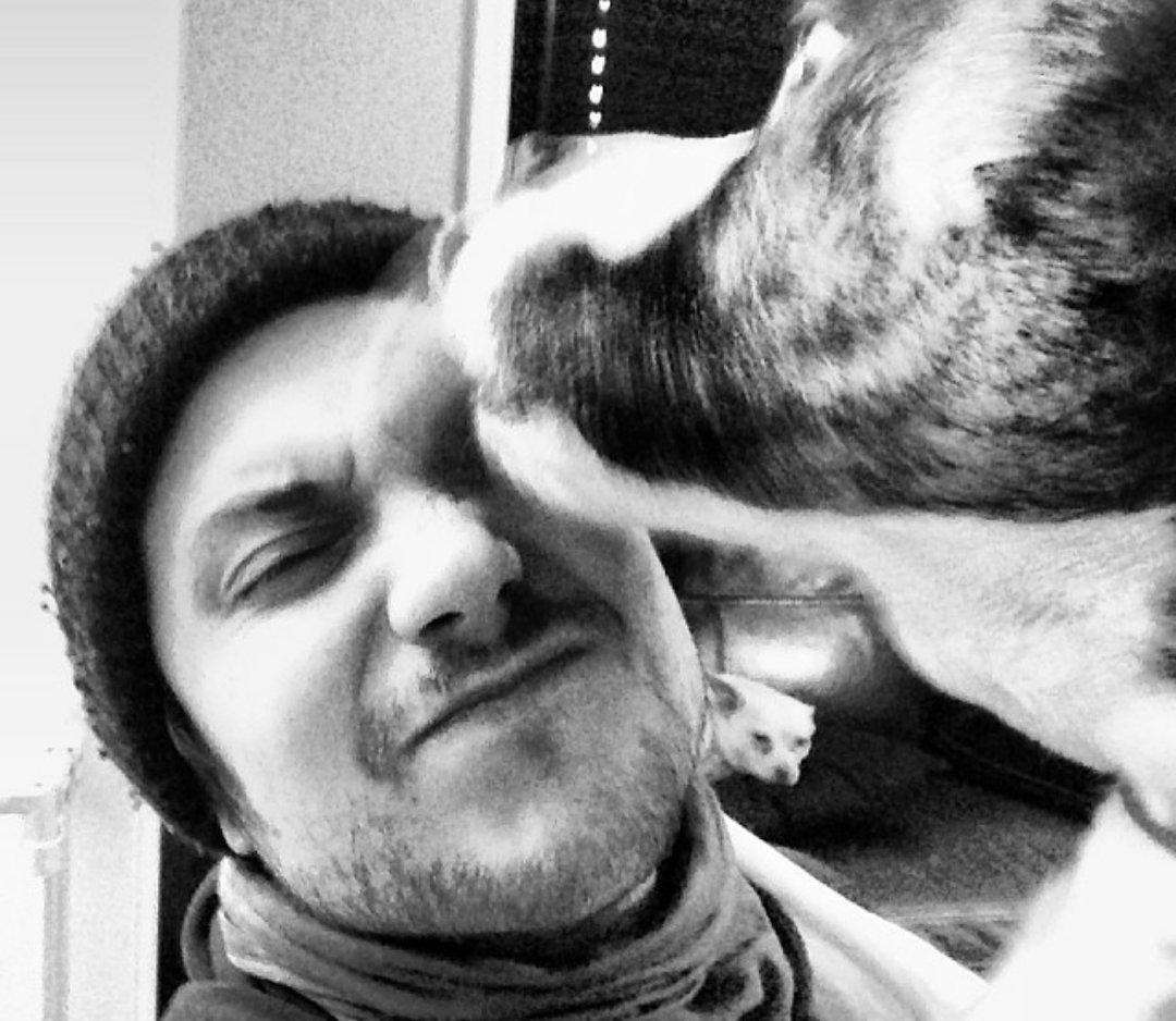 F_Ierro's tweet image. @TransGenderG You can have me and Winston then