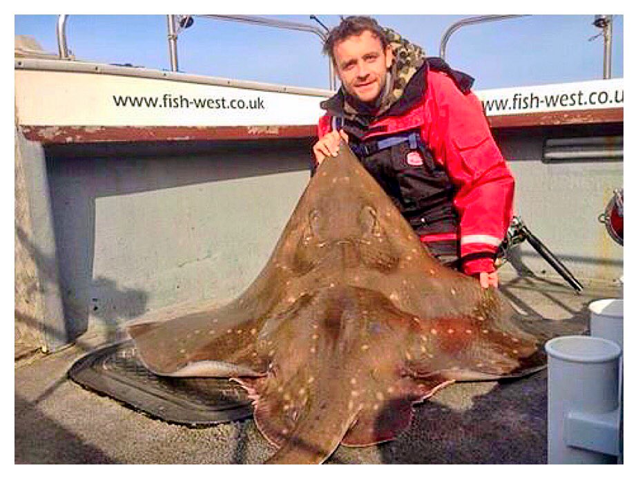 Jackpot_Fishin's tweet photo. In the stunning West Coast of Scotland, we caught this awesome 170lb common skate #jackpotsportfishing #fishtheworld https://t.co/2D2Ne2JMrw