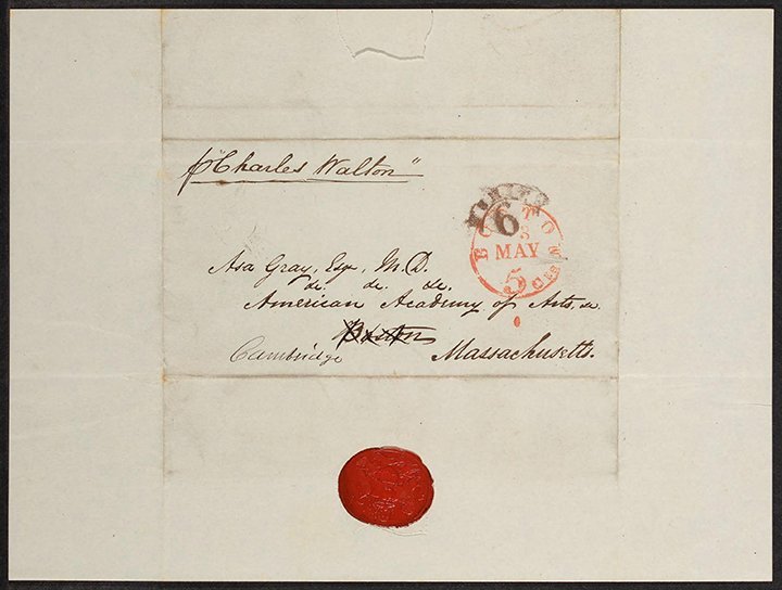 BioDivLibrary's tweet image. It's #LetterWritingWeek! Explore Asa Gray correspondence via @HarvardLibrary ow.ly/X0kt3