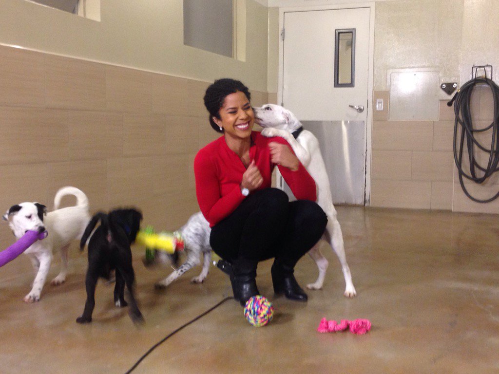 AdrianaDiaz's tweet photo. Early morning kisses at @CBSThisMorning live shot at @PAWSchicago.   Im in puppy love. #momcanwekeephim  #🐶 #blessed https://t.co/rFxC8LSUV5
