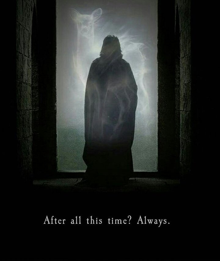 justinimpress's tweet photo. Thanks for the magic, Alan. ❤ #RIPAlanRickman https://t.co/oT3kJzqr5d