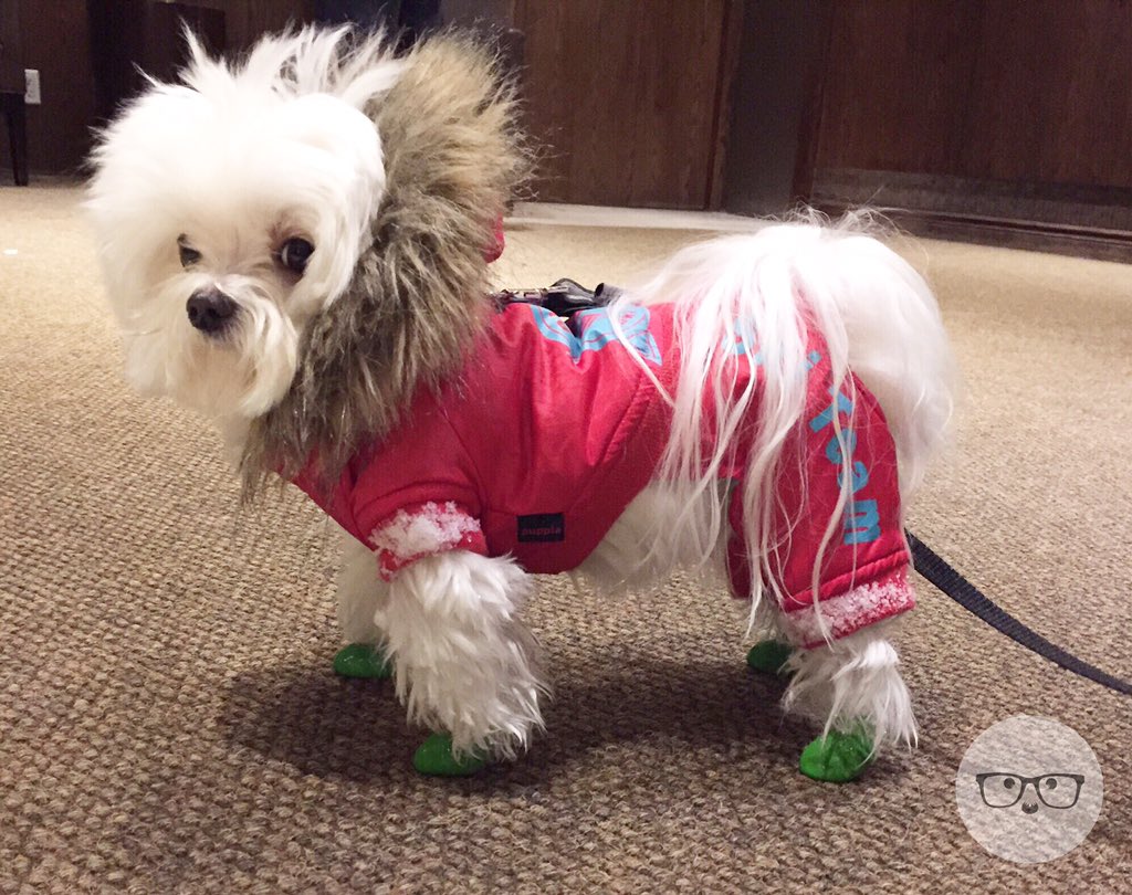 MiloMeetsWorld tweet media