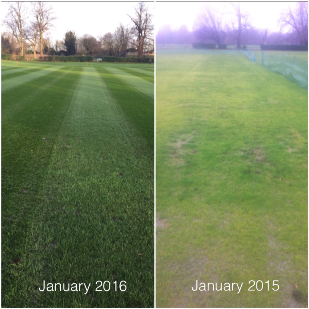 What a difference a year makes! On the right is how it looked when we took over. Same time this year to the left.