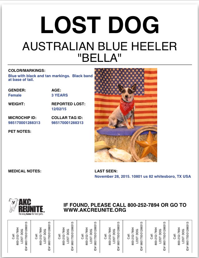 ❤️BlueSquadRescue❤️ tweet media