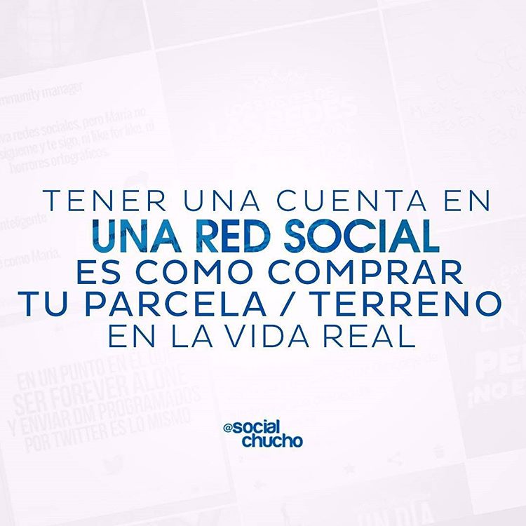 SocialChucho tweet picture