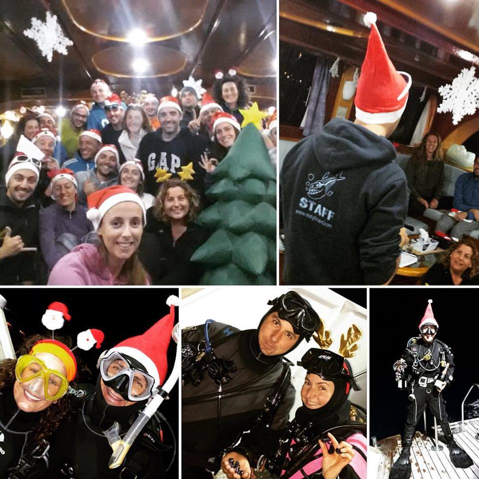 Suny Diving Travel (sunyvictoria) Twitter