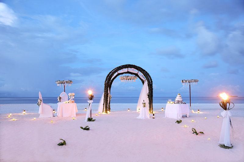 MALDIVITY's tweet photo. Maldives Luxury Resorts - Anantara Kihaavah Villas

#bmrtg #Maldives #TravelStoke #anantar… https://t.co/URTO6lvL6r https://t.co/E56FenBzVd