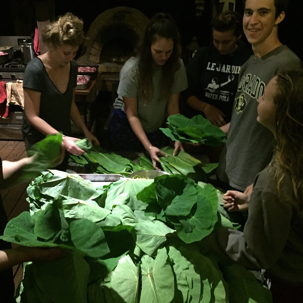 hookuaaina's tweet photo. Fresh handmade pork laulau! A perfect pairing for your fresh poi today! We had a great crew! #onoloa #6for20 https://t.co/3mBe7e02b6