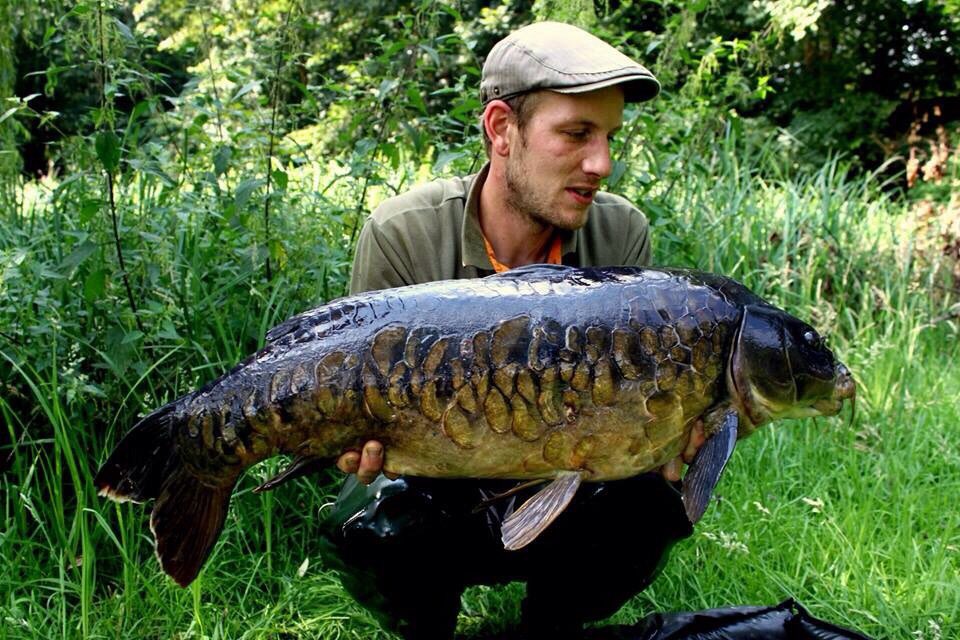 German park lake 'graphs from the summer keeping us fired up through the colder months
