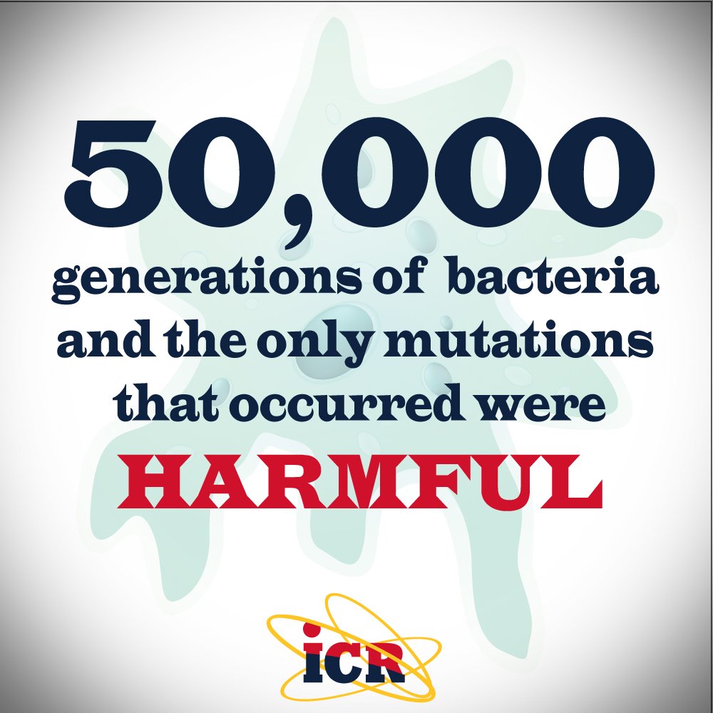 ICRscience's tweet photo. Read the article: https://t.co/42WtPmnolc #NotBeneficial #NotEvolved https://t.co/nPjNTpOZmx