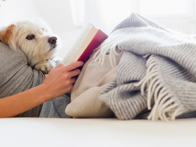 TeodoraToderas's tweet image. 14 Things #Successful #Freelancers Do Right Before Bed - bit.ly/successful-fre… #productivity #unplug