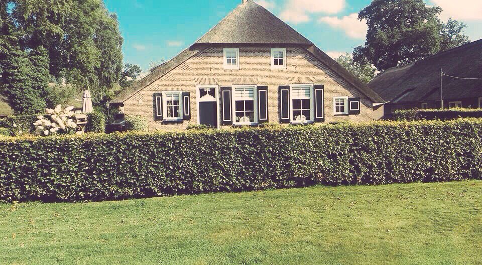 Harrie van Dijk tweet media