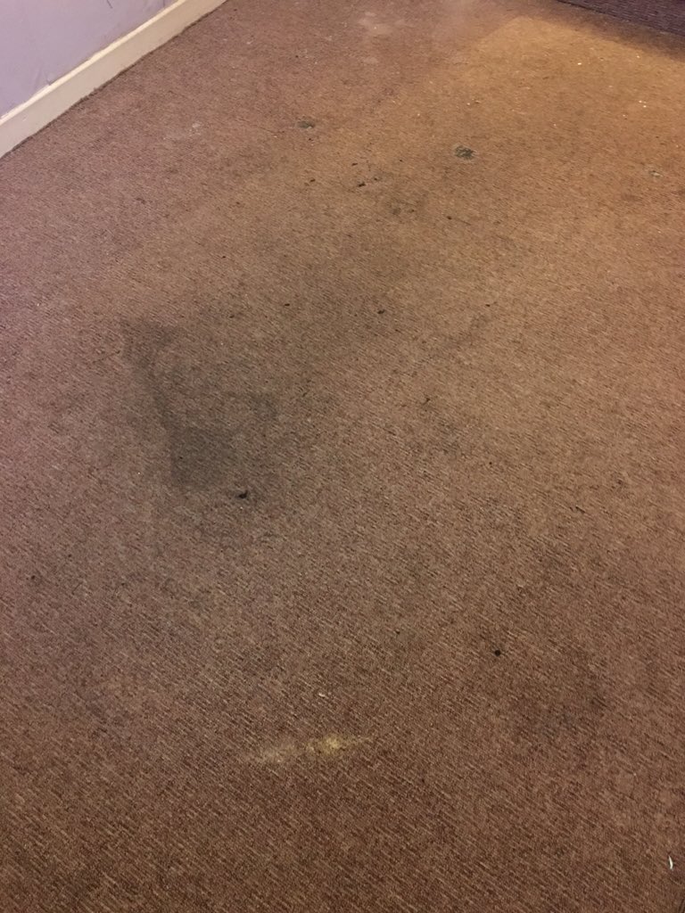 msucleaning tweet picture
