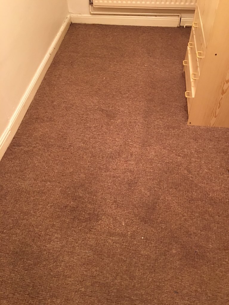 msucleaning tweet picture
