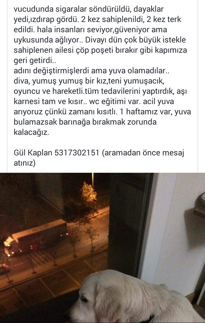 <a href="/ACILLRetweet/">❤️ ACİL Retweet 🐾</a> <a href="/17OznurAteser/">Öznur_Ateşer</a> <a href="/inciural/">İnci Ural</a> <a href="/1inci1inci/">bütün canların annesi 🐾</a> <a href="/HukukiHaber/">Hukuki Haber</a> <a href="/Sentez68/">Hülya A.</a> <a href="/sevvalsam/">Şevval Sam</a> <a href="/PetedinCom/">petedin.com</a> <a href="/petlebi/">petlebi.com</a>