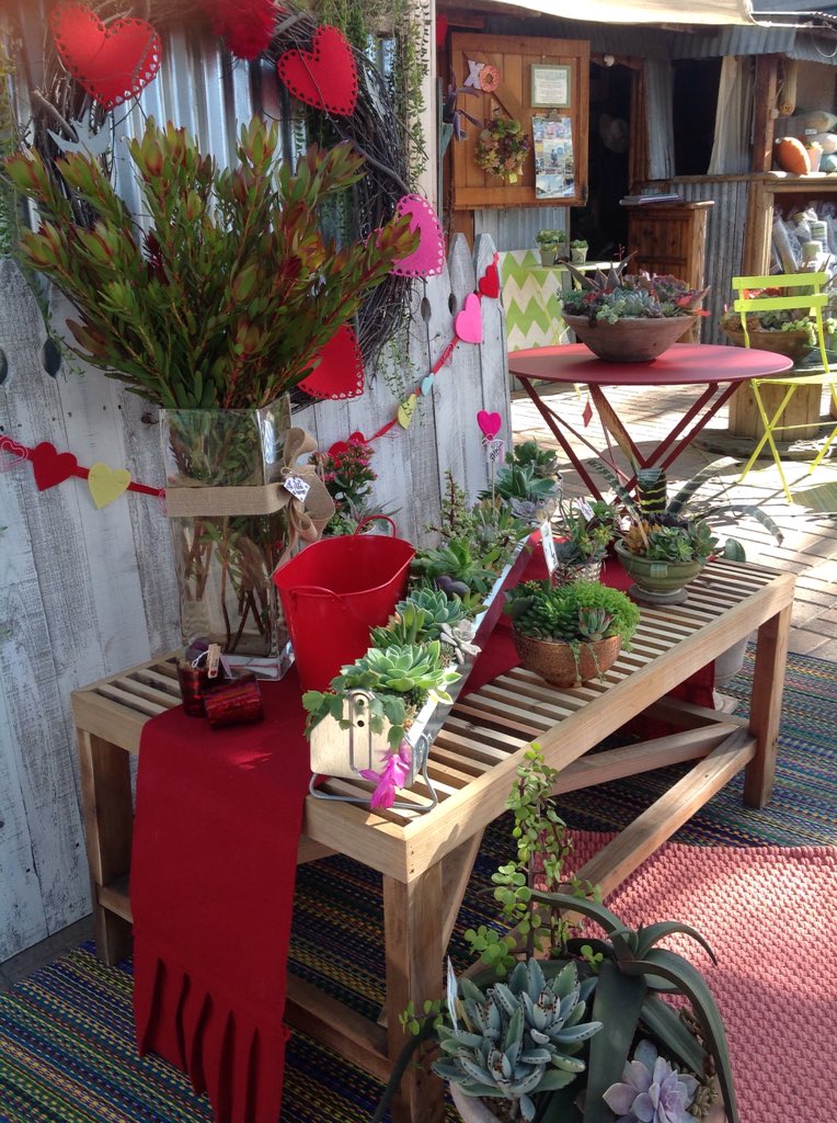 Chicweedpg's tweet photo. #chicweedoncedros #succulentcontainers #patioandgarden #sexyrexy #shoplocal #solanabeach https://t.co/2EcJDRyK17