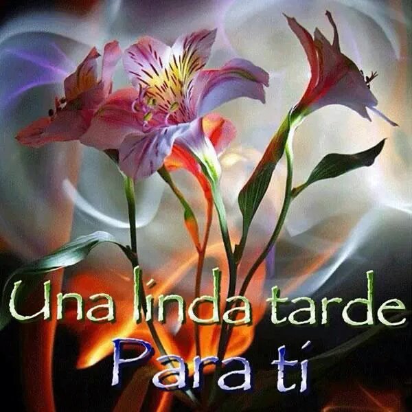 Enlace permanente de imagen incrustada