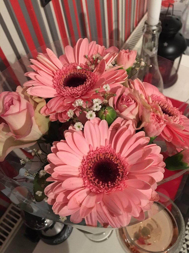 Lucie Bushnell tweet media