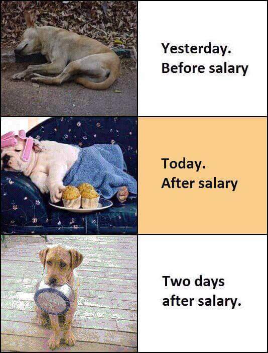 amardeepkaushal's tweet photo. Salaried professionals monthly life cycle #lifestyle #Bangalore #Oscars2016 #salarybenchmark #startups https://t.co/x02X5zjTZc