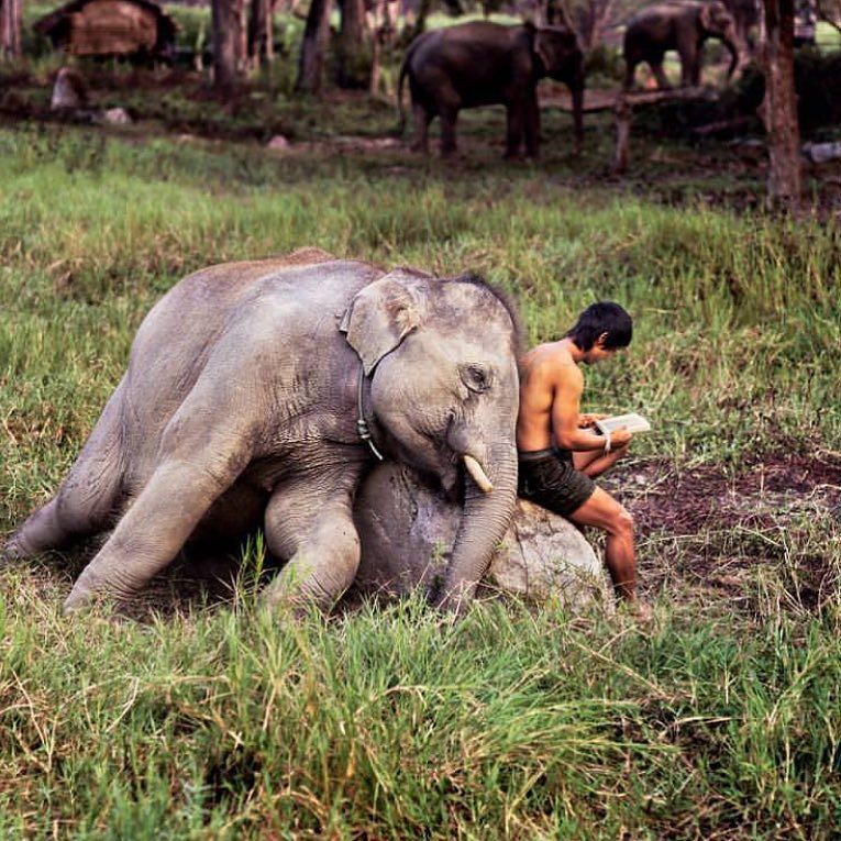 KnowGreatness's tweet image. The more that you read, the more things you will know. The more that you learn, the more p… ift.tt/1RoozDo