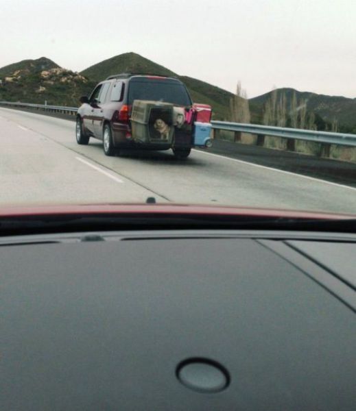 ExpressLMoving's tweet image. We're not to positive what's happening here.