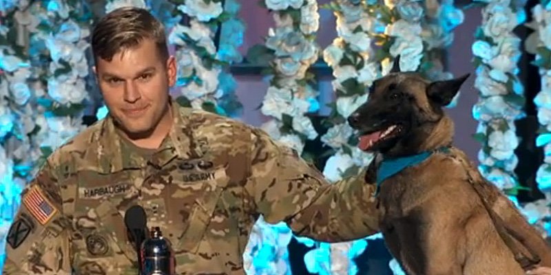 people's tweet photo. EXCLUSIVE: Meet one of the hero pups of the world dog awards https://t.co/aEhxUS9UEu https://t.co/8cd7TcH3kB