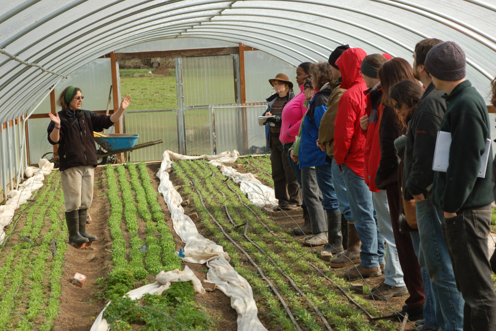 Danielle Nierenberg, Food Tank tweet media