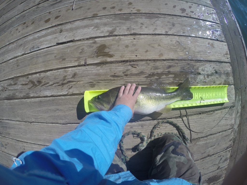 snowcap12's tweet photo. #ATXbassfishing #bassfishing #fishing #ladybirdlake https://t.co/WUor9bCrFk