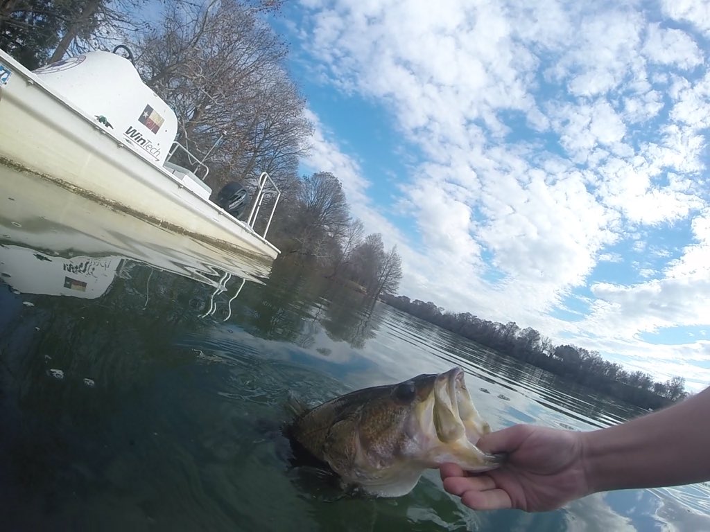snowcap12's tweet photo. Loving the new go pro #gopro #ATXbassfishing #bass #fishing #ladybirdlake https://t.co/wjFmOnVHHh