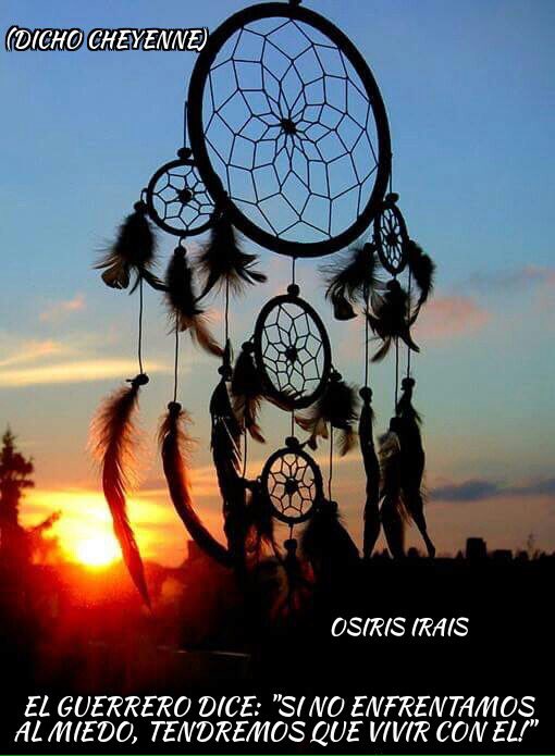 braynerivan's tweet image. 