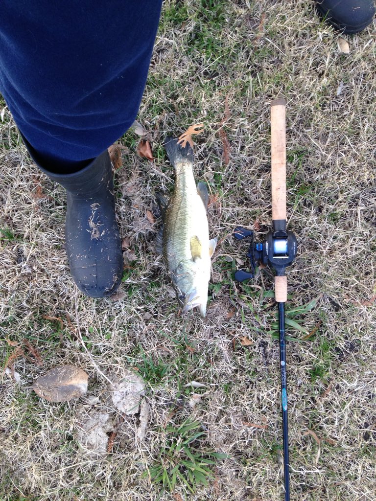 Ziggster97's tweet photo. Haven't been in awhile #firstof2016 #fattys https://t.co/76peNViAgm