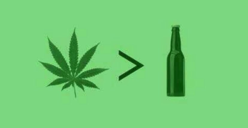 I won't say I disagree 😂🌳💨