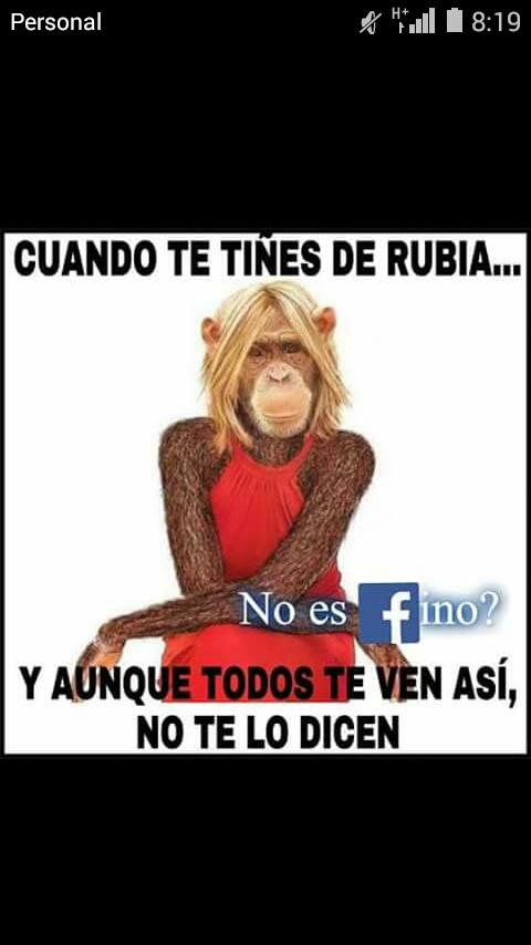 MarthaCandia2's tweet photo. Jajajajajaja. Pobrecita https://t.co/RB8KerIL4k